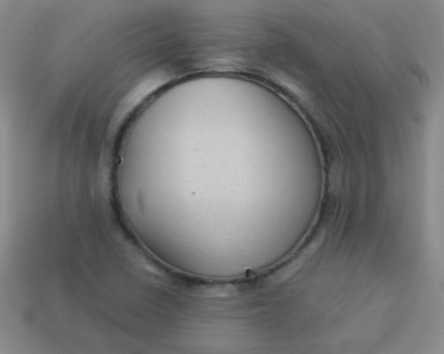 X0000113591410200910091450