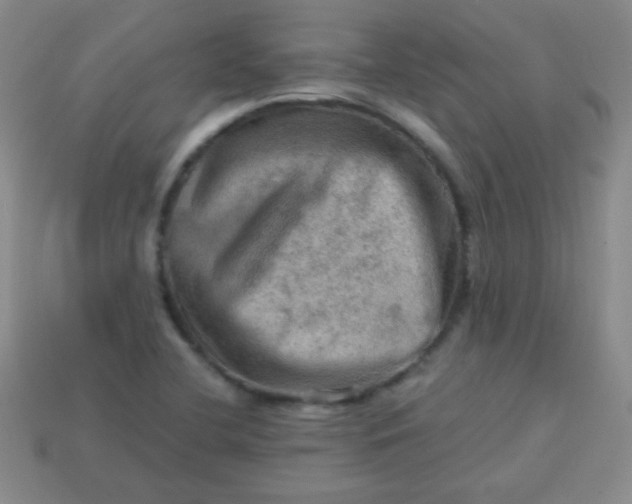 X0000113591412200910091450