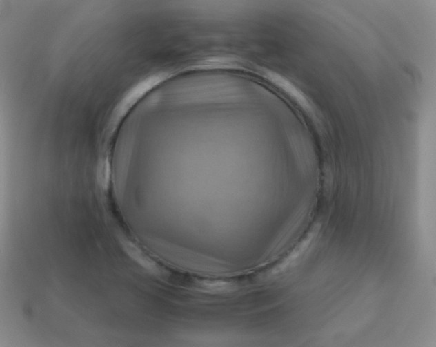 X0000113591413200910091450