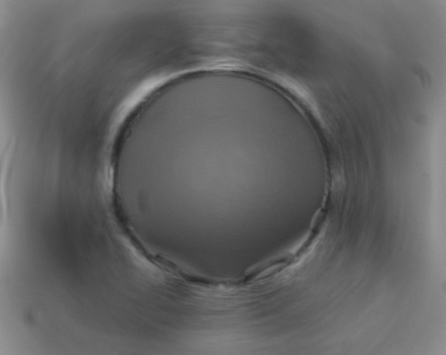 X0000113591414200910091450