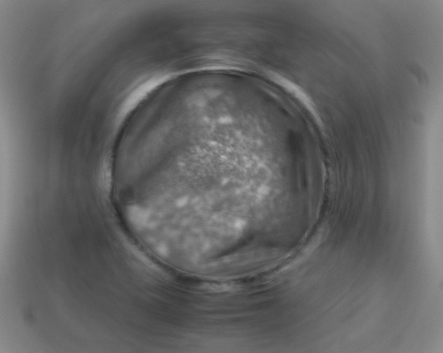 X0000113591415200910091450