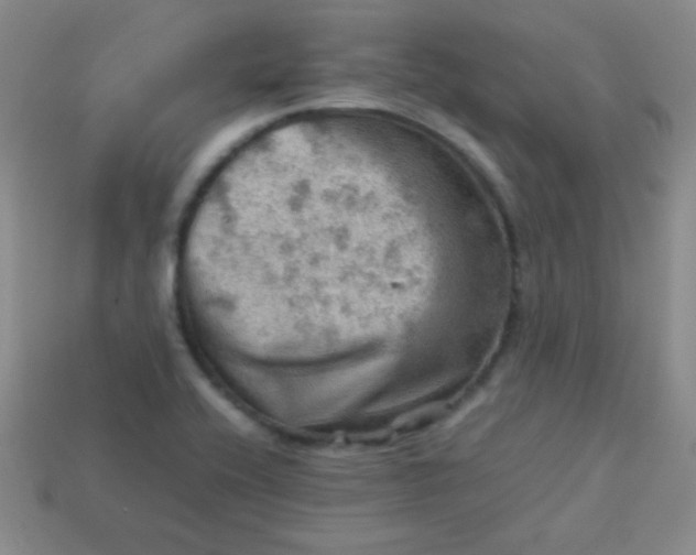 X0000113591416200910091450