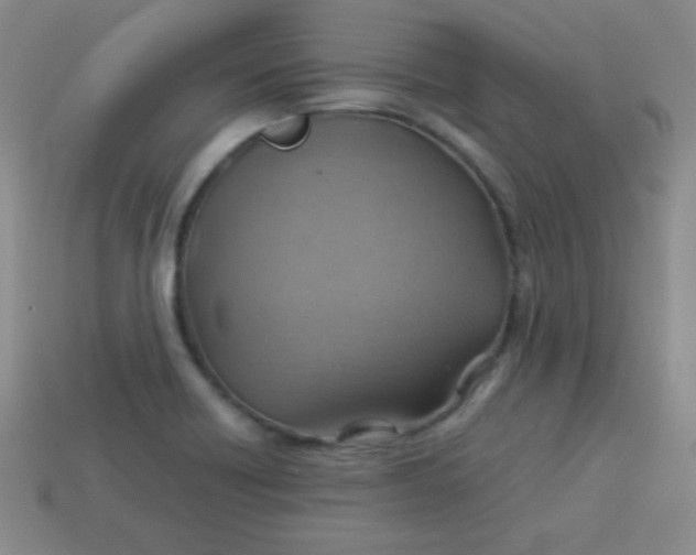 X0000113591418200910091450