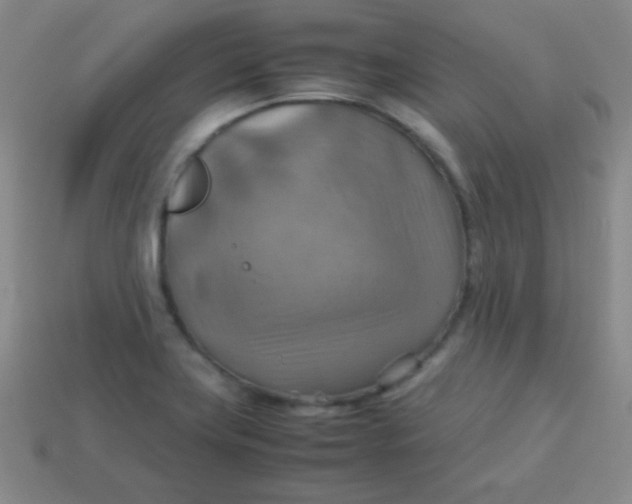 X0000113591419200910091450