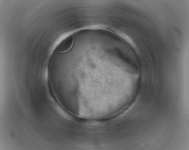 X0000113591420200910091450