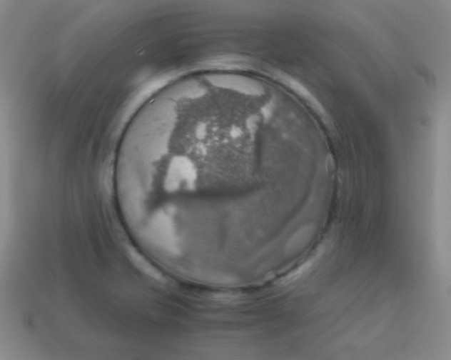 X0000113591421200910091450