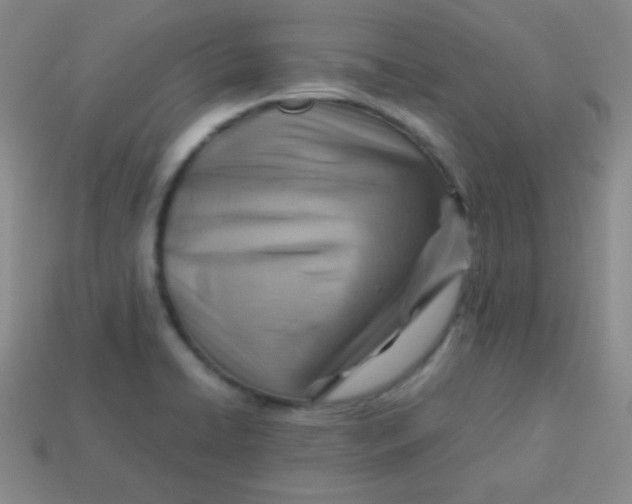 X0000113591422200910091450