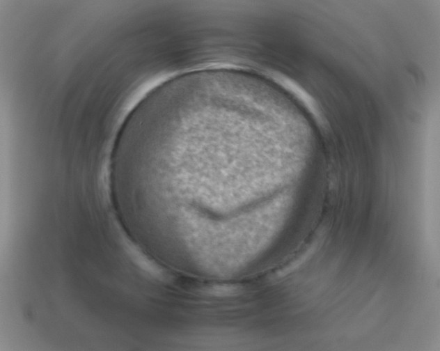 X0000113591423200910091450