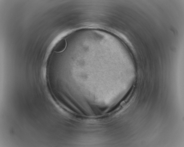 X0000113591424200910091450