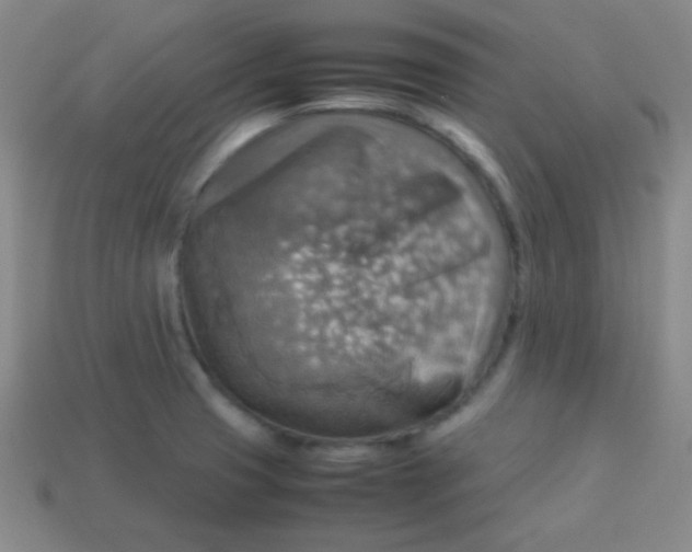 X0000113591425200910091450