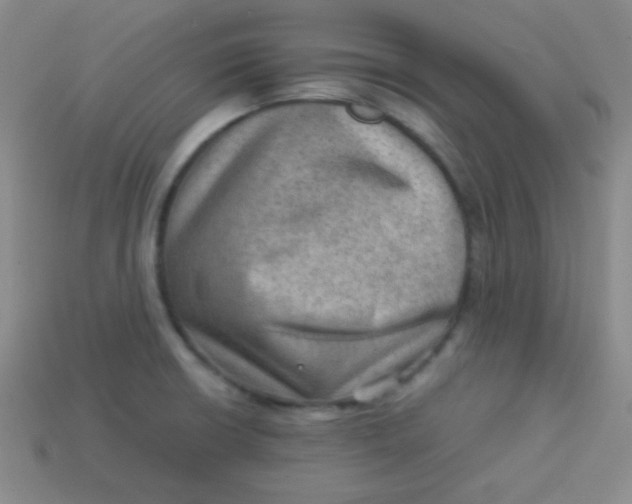 X0000113591426200910091450