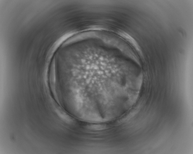 X0000113591427200910091450