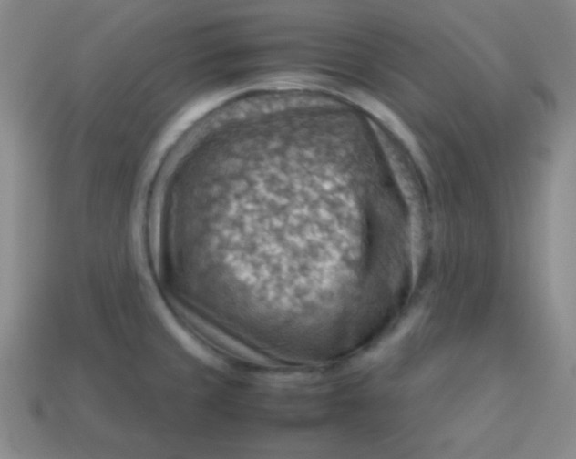 X0000113591429200910091450