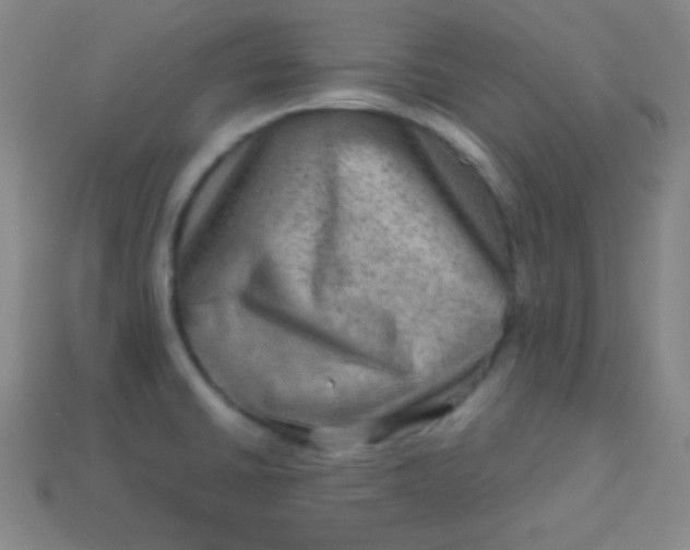 X0000113591430200910091450