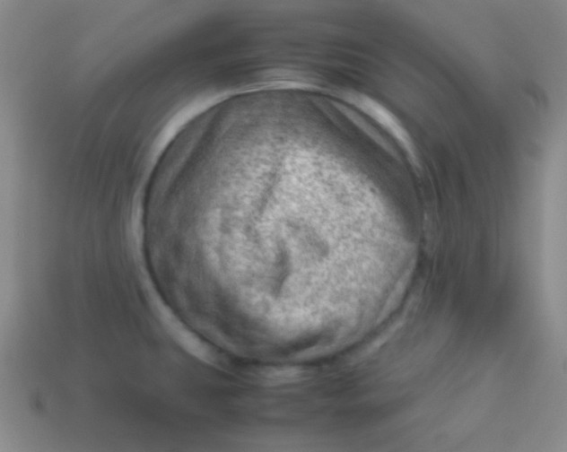 X0000113591431200910091450