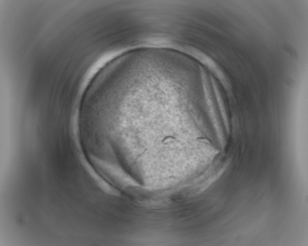 X0000113591432200910091450