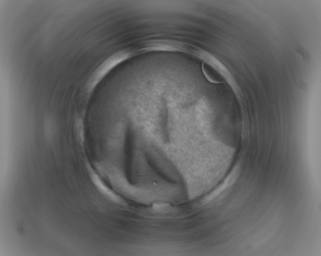 X0000113591433200910091450