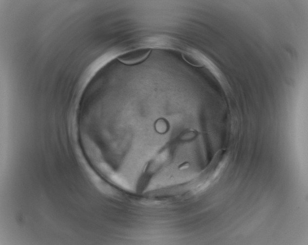 X0000113591434200910091450