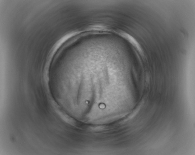 X0000113591435200910091450