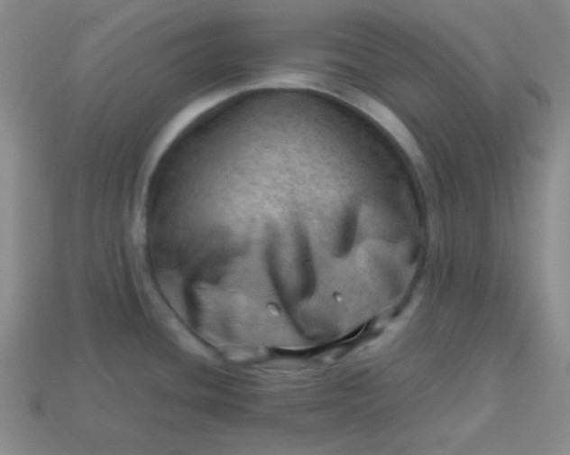 X0000113591436200910091450