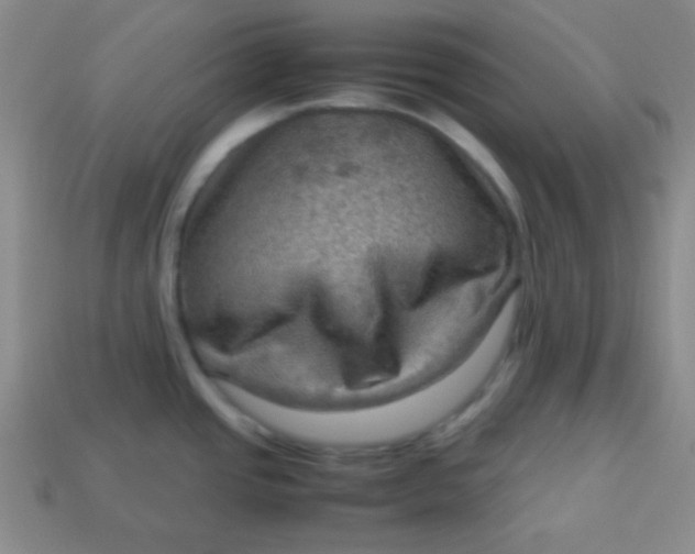 X0000113591437200910091450