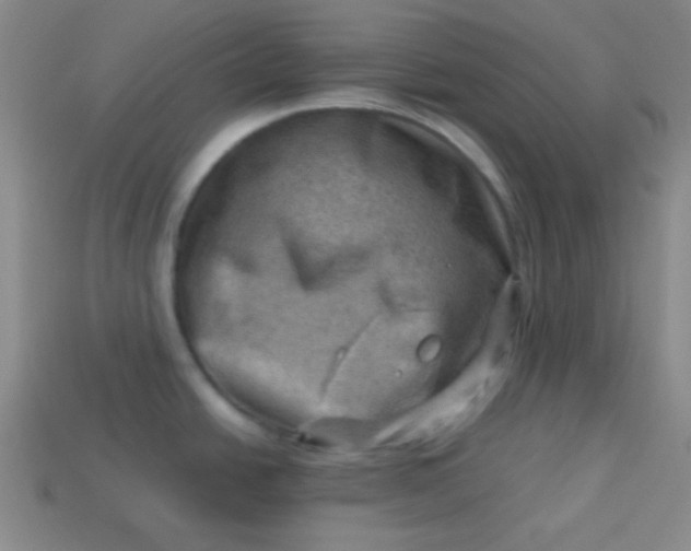 X0000113591438200910091450