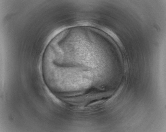 X0000113591439200910091450