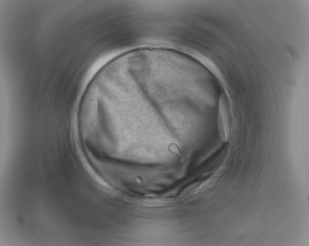 X0000113591440200910091450