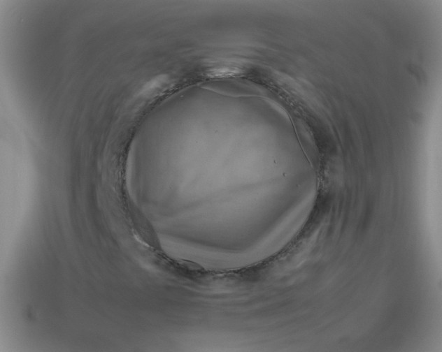 X0000113591441200910091449