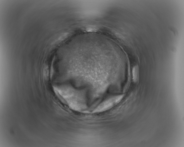 X0000113591443200910091449