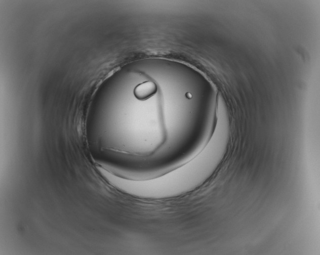 X0000113591444200910091449