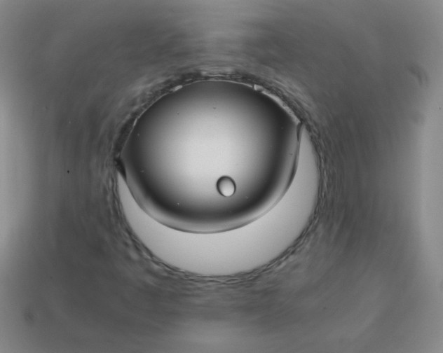 X0000113591445200910091449