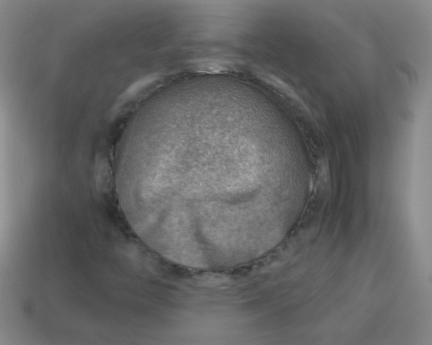 X0000113591446200910091449