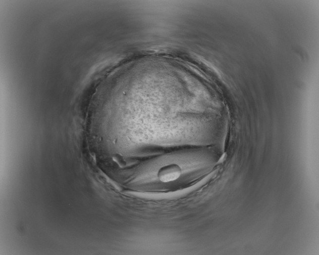 X0000113591447200910091449