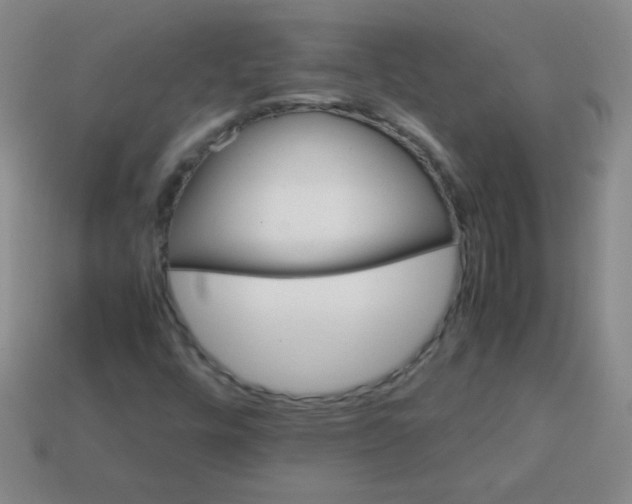 X0000113591448200910091449