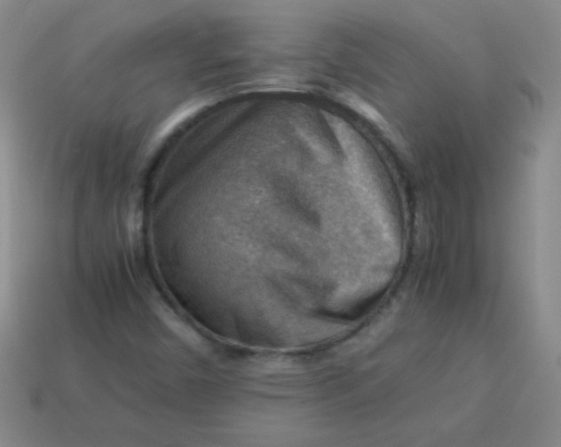 X0000113591450200910091449