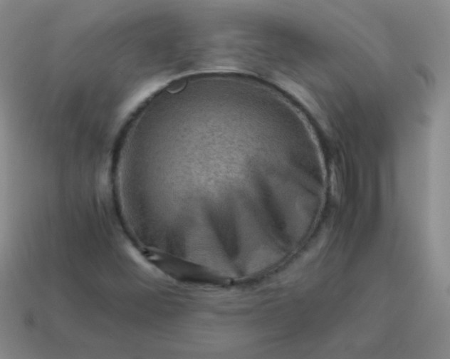 X0000113591452200910091449