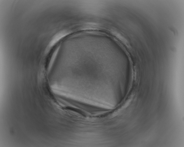 X0000113591453200910091449