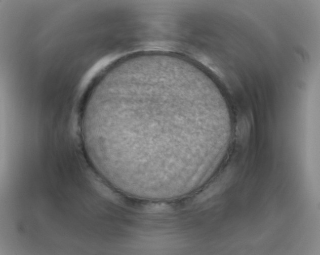 X0000113591454200910091449