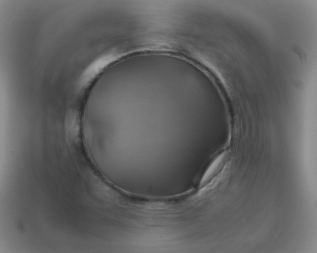 X0000113591455200910091449