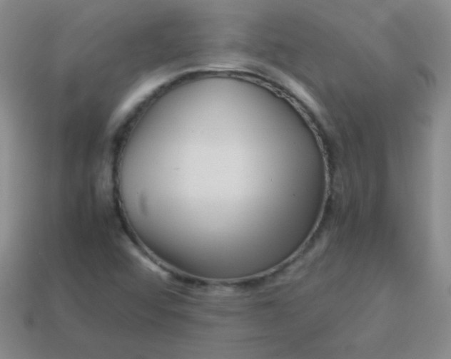 X0000113591456200910091449