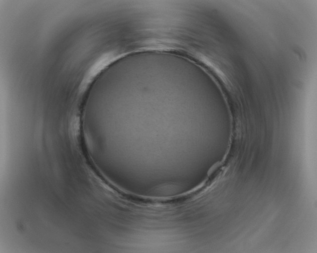 X0000113591459200910091449