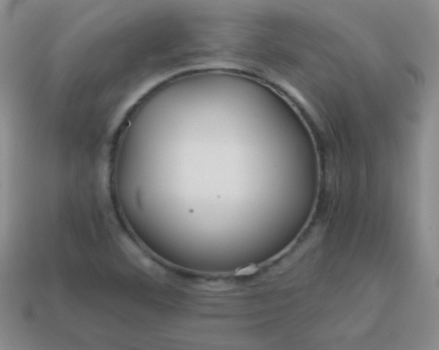 X0000113591460200910091449