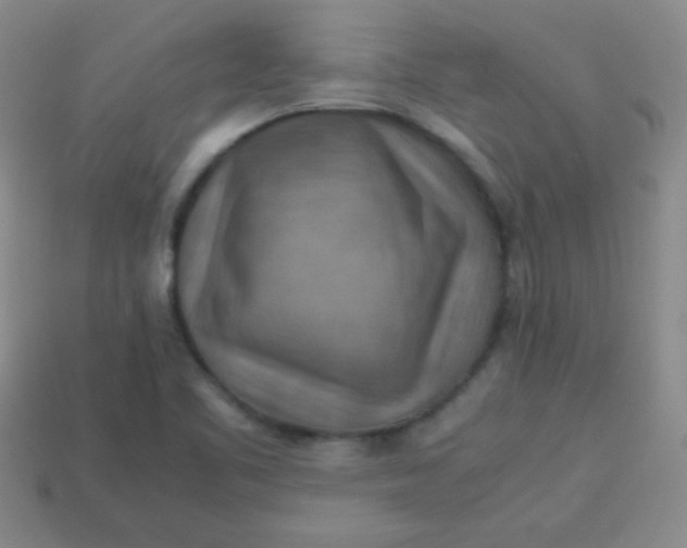 X0000113591461200910091449