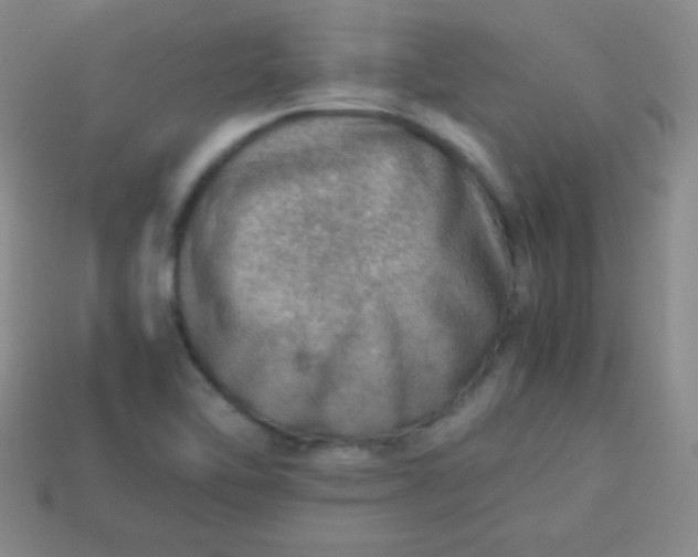 X0000113591462200910091449