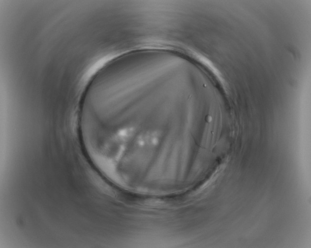 X0000113591463200910091449