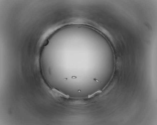 X0000113591464200910091449