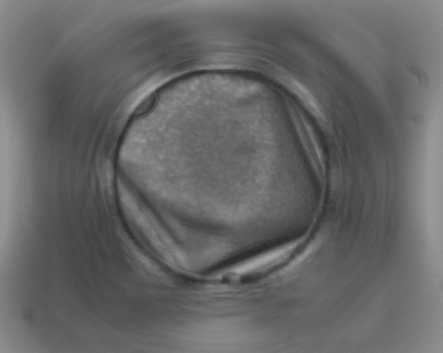 X0000113591465200910091449