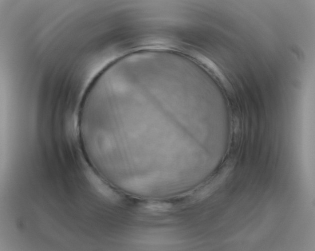 X0000113591466200910091449