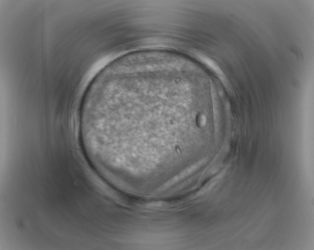 X0000113591467200910091449